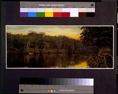 Florida, sunset on the Ocklawaha [i.e. Oklawaha]