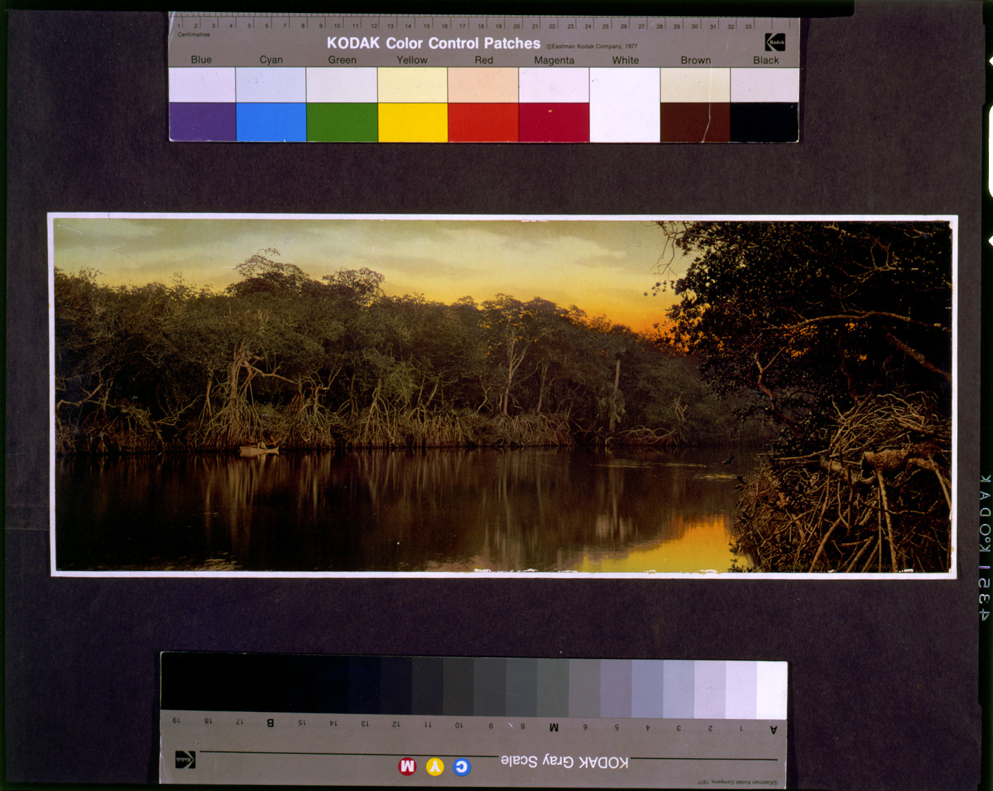 Florida, sunset on the Ocklawaha [i.e. Oklawaha], c1899. — historic print