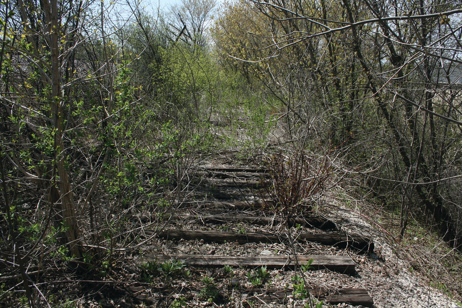 Overgrown abandoned railroad track with weathered wooden ties — historic image