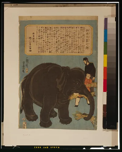 Hakurai Ozo no benTITLE TRANSLATION:Big imported elephant.