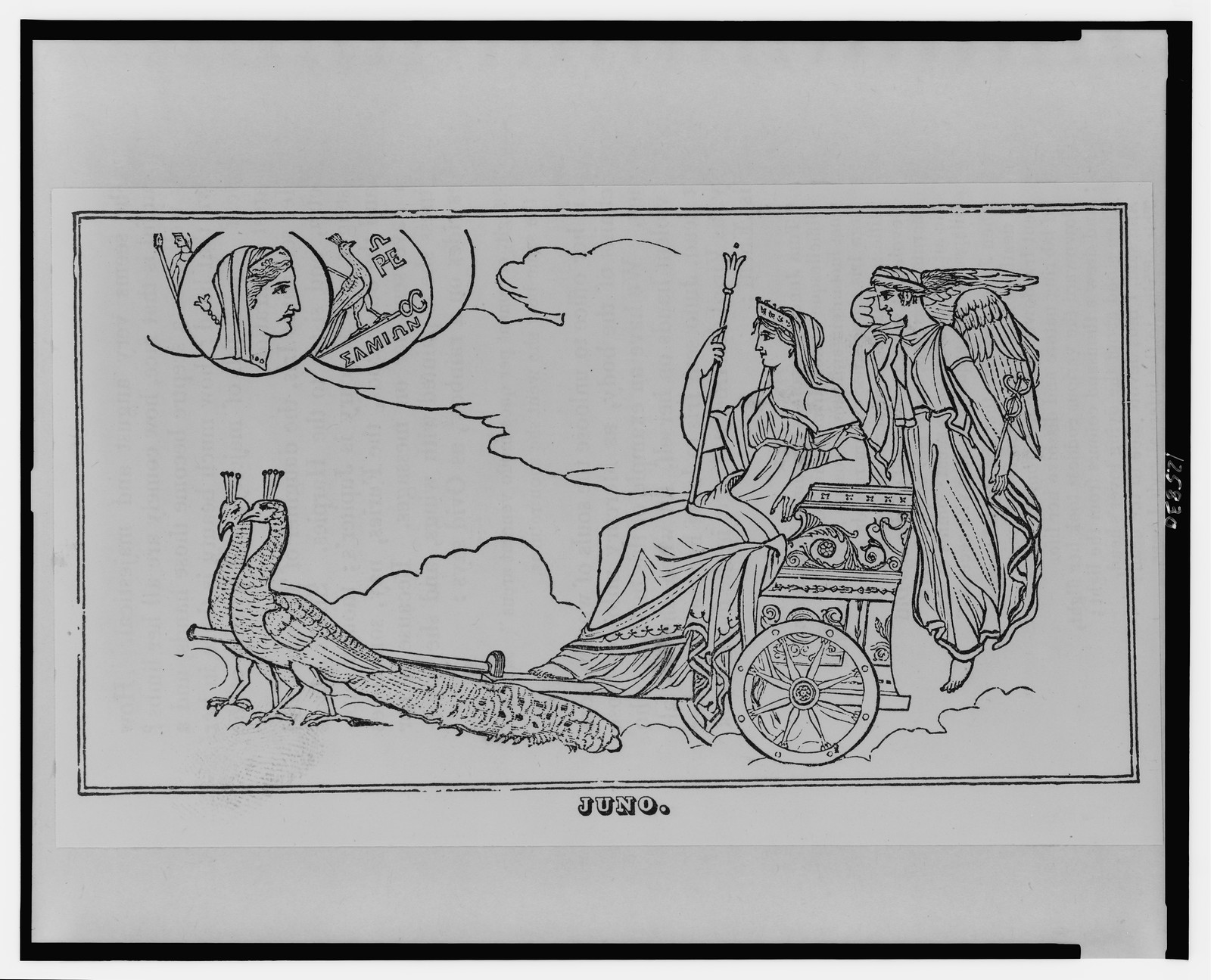 Juno, [1825(?)] — antique engraving