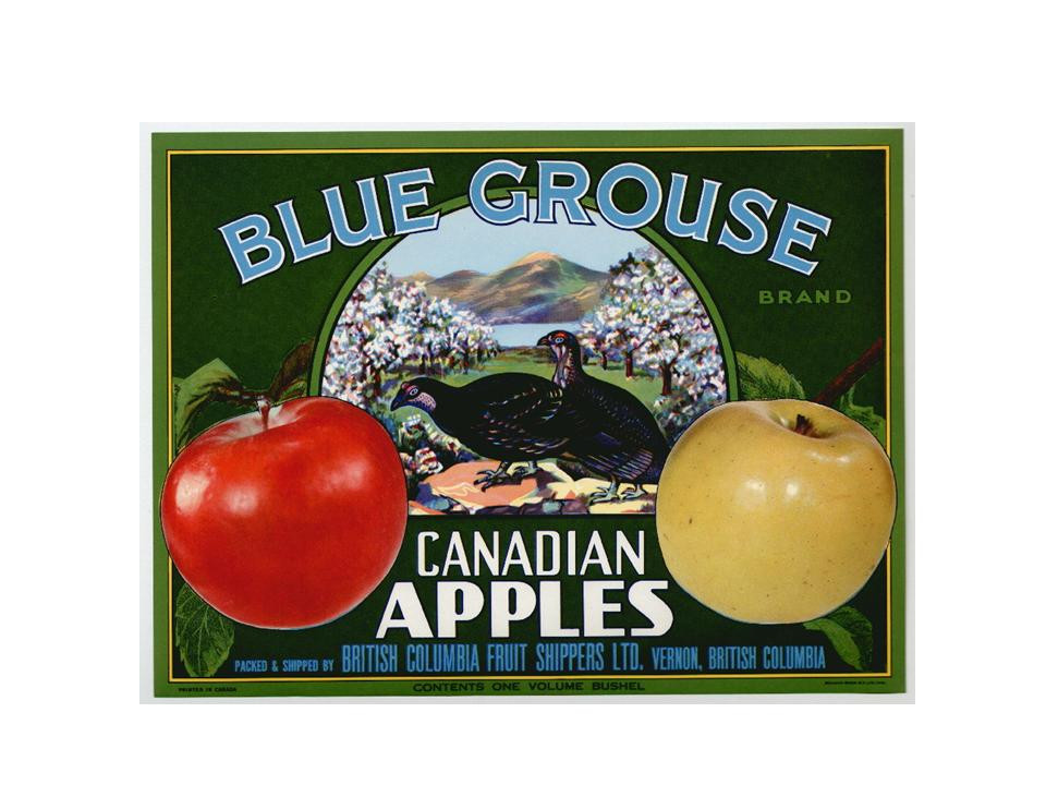 Blue Grouse Canadian Apples crate label — historic image