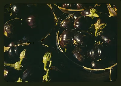 Eggplants in baskets, close view