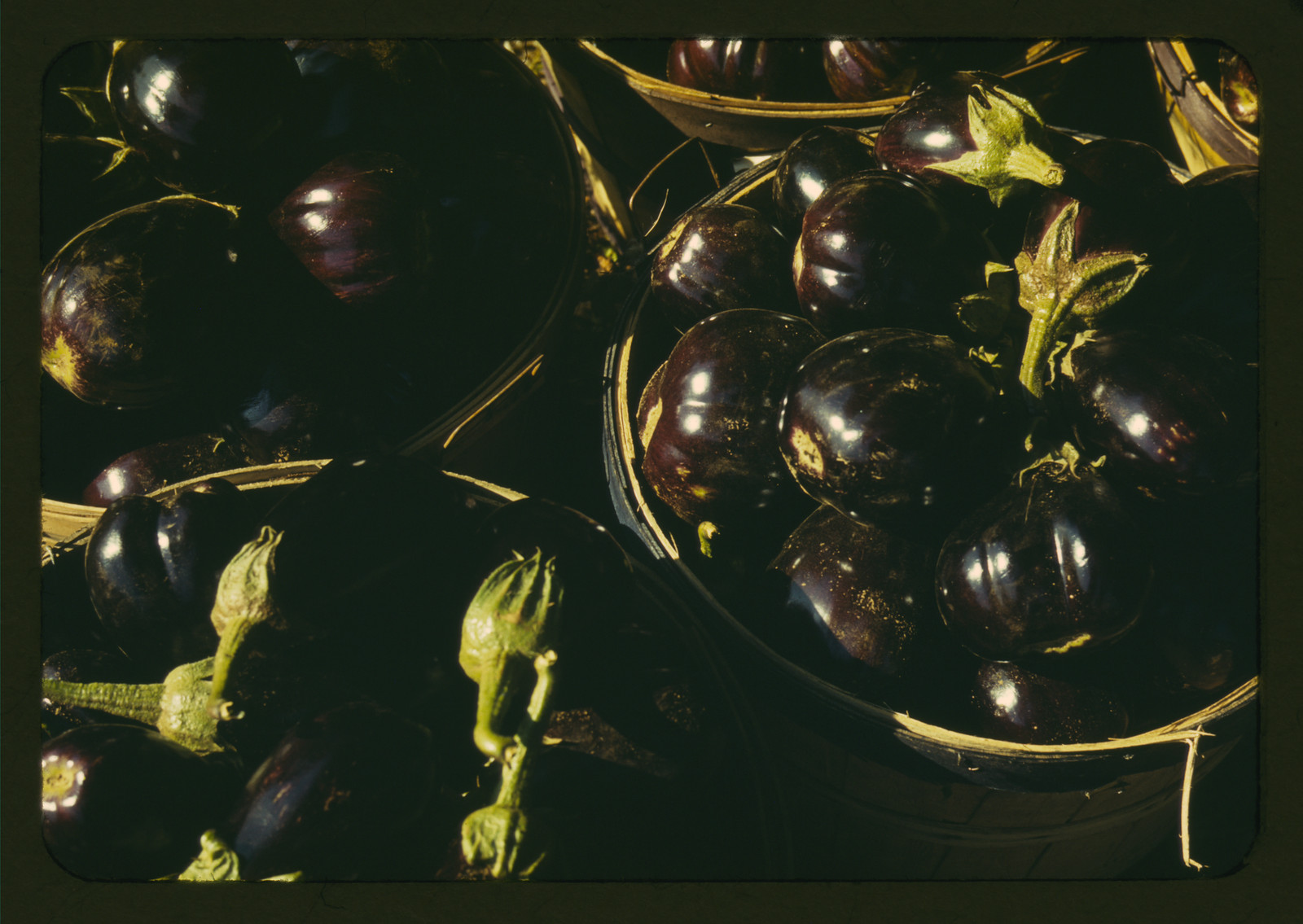 Eggplants in baskets, close view — historic image