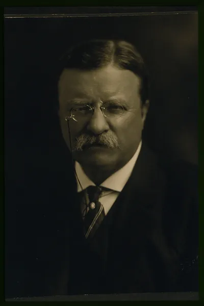 [Theodore Roosevelt, head-and-shoulders portrait, facing front] / Pach, New York, Broadway.