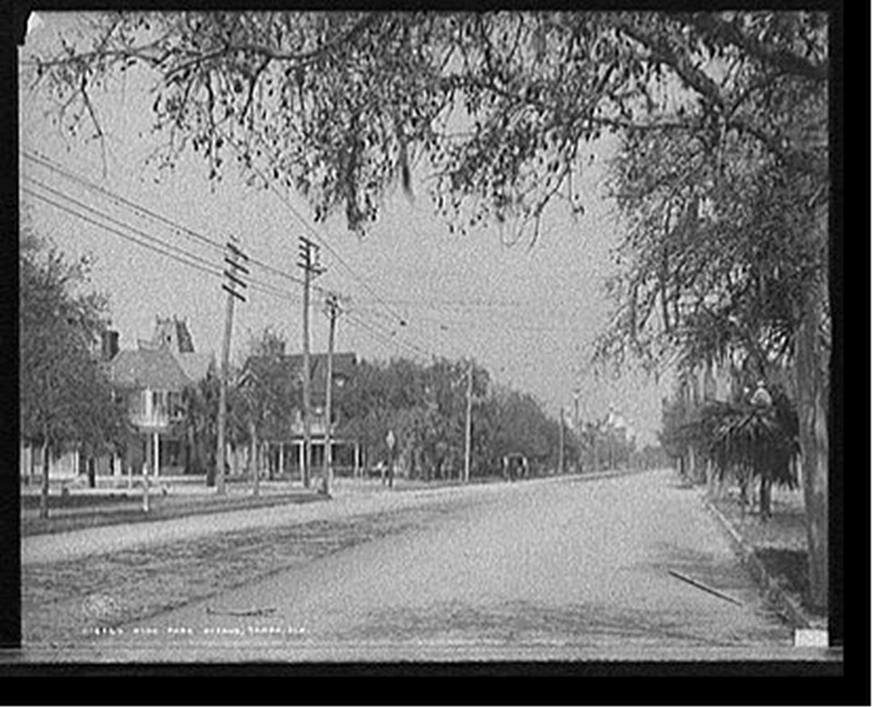 Hyde Park Avenue, Tampa, Fla., c1905. — historic photograph