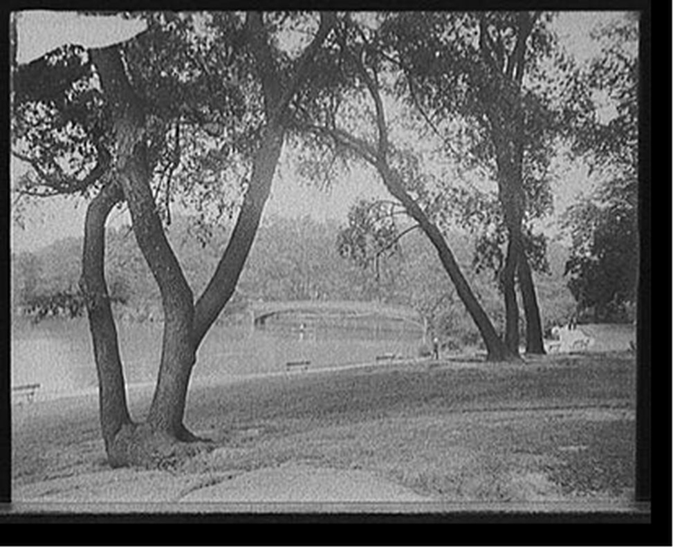 [Central Park, the lake, New York, N.Y.], [between 1900 and 1915] — historic photograph