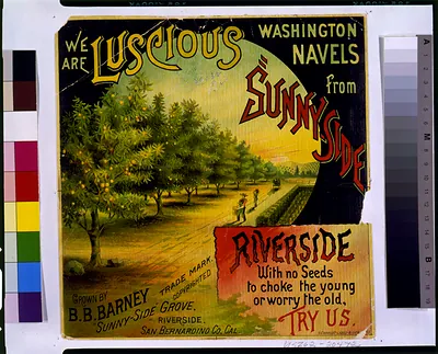 We are luscious Washington navels from Sunny-side : Grown by B.B. Barney, Sunny-side" Grove