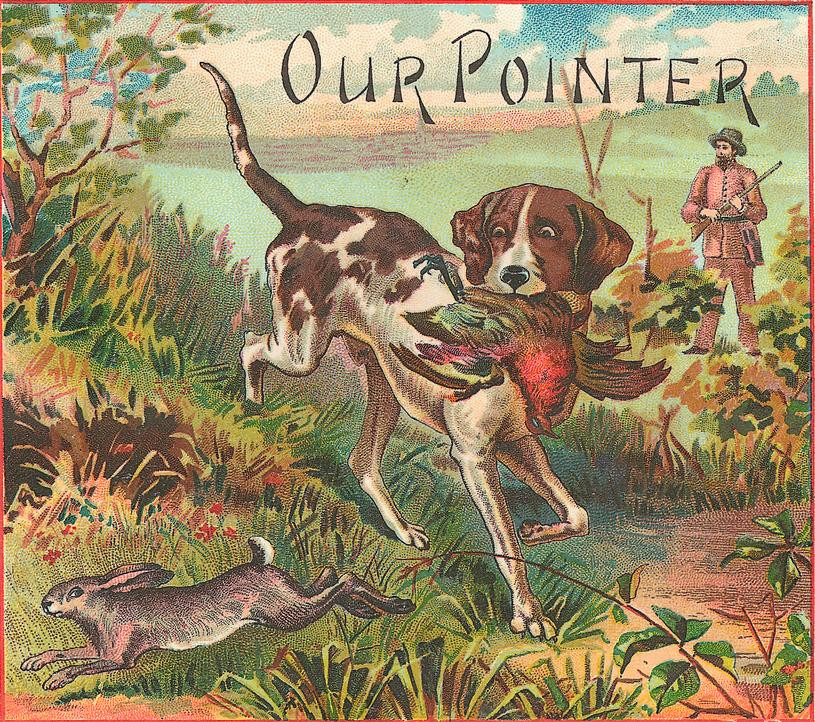 Our Pointer — historic image