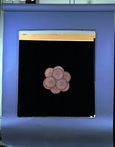 Cluster of speckled colored discs on black board