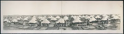 Camp Wilson, San Antonio, Texas, 1916