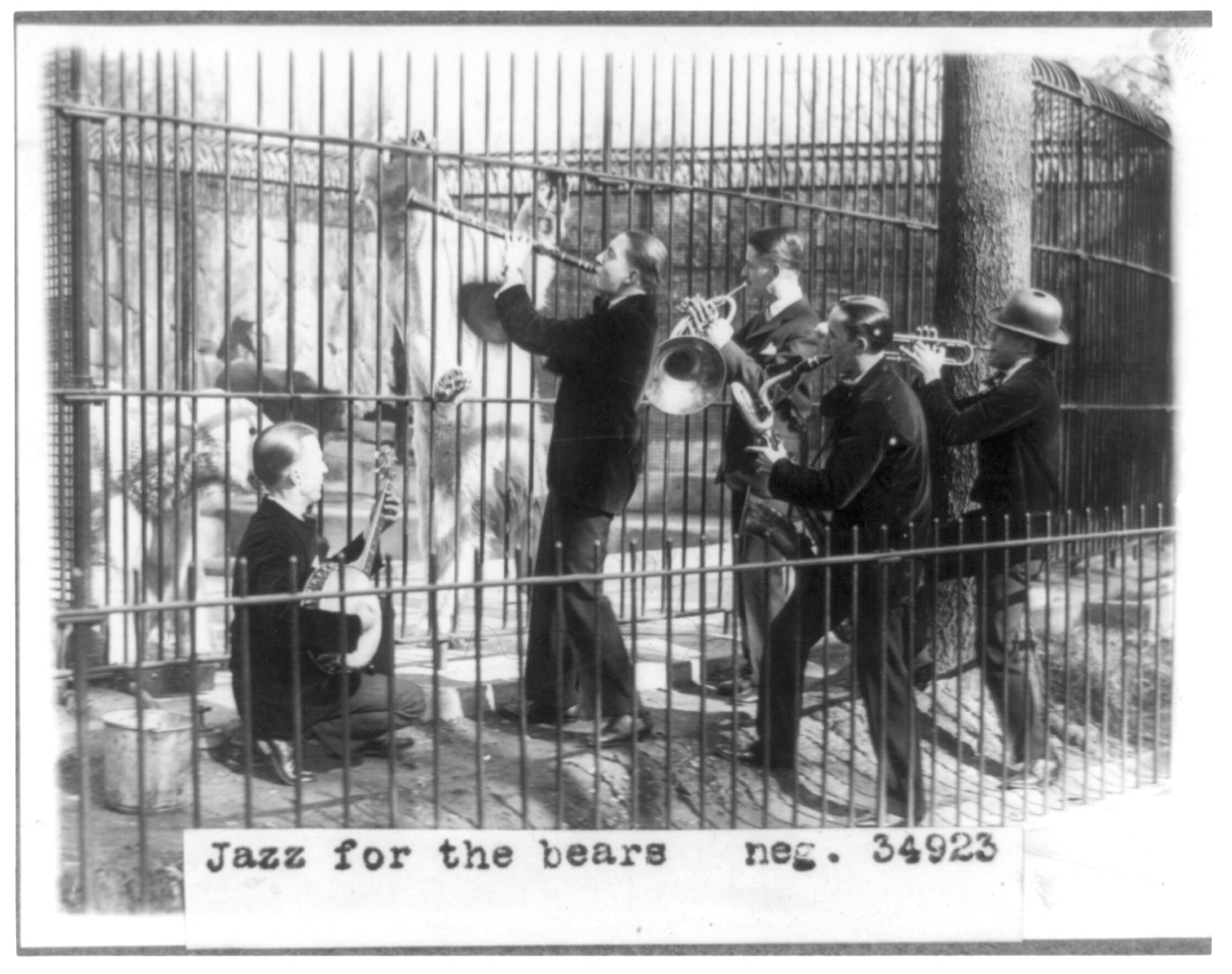 Jazz for the bears, [between 1920 and 1932] — historic photograph