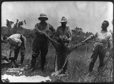 [Theodore Roosevelt, 1858-1919; lantern slide of Roosevelt's Brazil expedition, 1913, taken by his son Kermit]