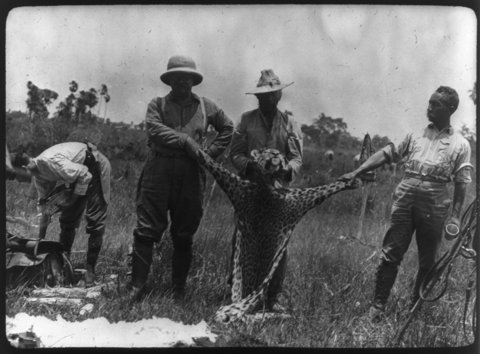 [Theodore Roosevelt, 1858-1919; lantern slide of Roosevelt's Brazil expedition, 1913, taken by his son Kermit] — historic image