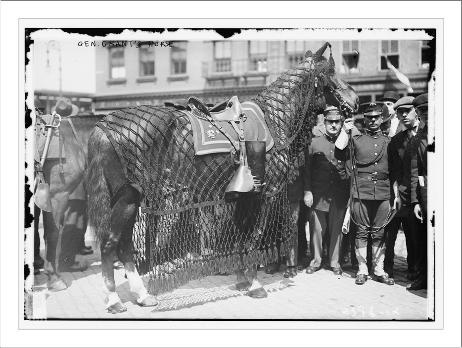 Gen. Grant's horse, n/a — historic photograph