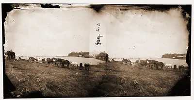 Belle Plain Virginia. Encampment of 2nd N.Y. and 1st Mass. Heavy Artillery