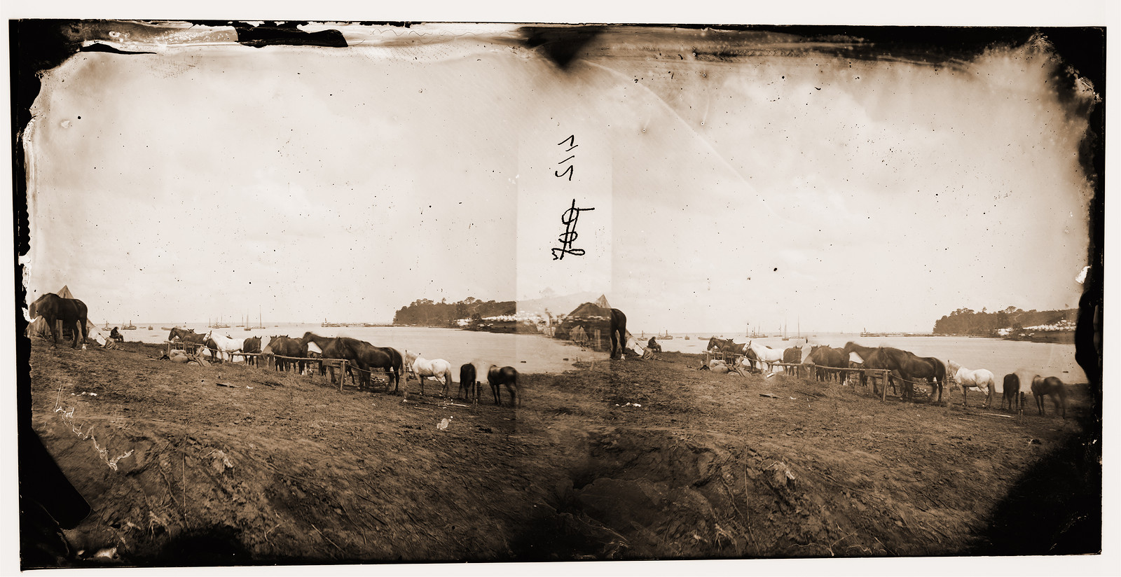 Belle Plain Virginia. Encampment of 2nd N.Y. and 1st Mass. Heavy Artillery, 1864 — historic photograph