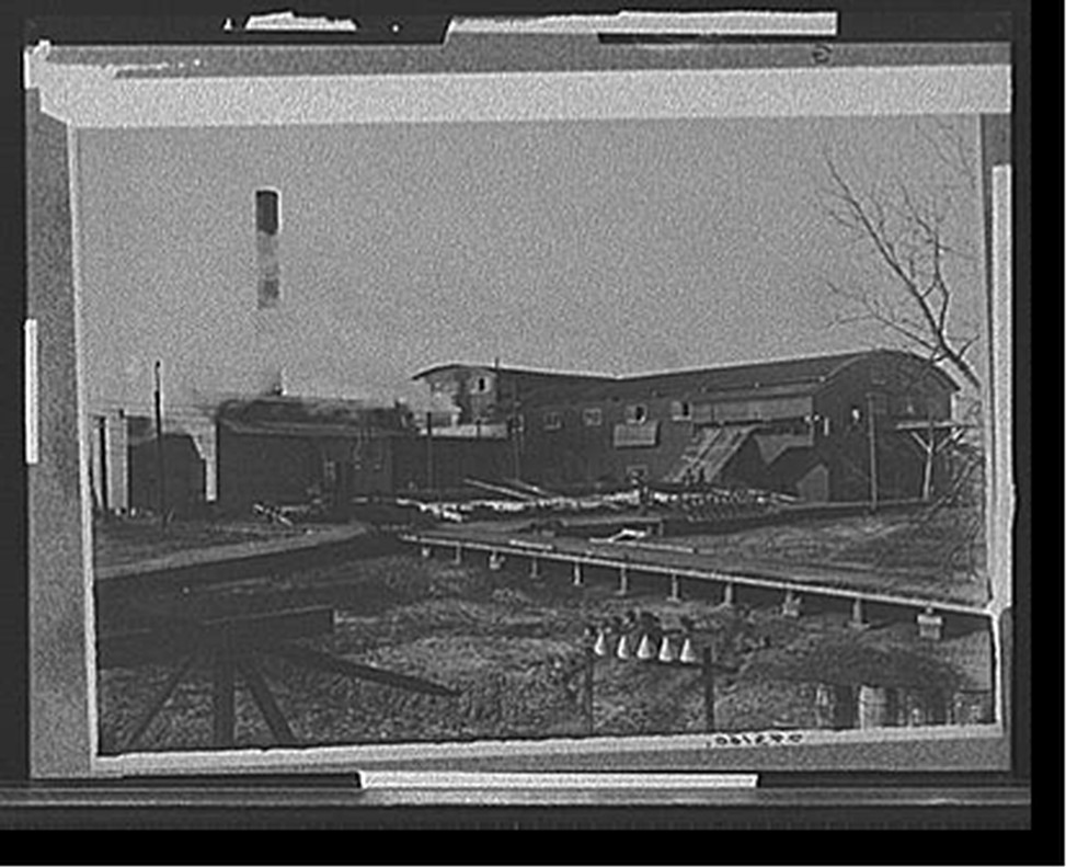 [A Pine woods mill, Keystone Lumber Company], [1901 or 1902] — historic photograph