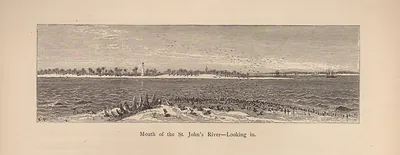 Mouth of the St. John's River, looking in, engraved panorama