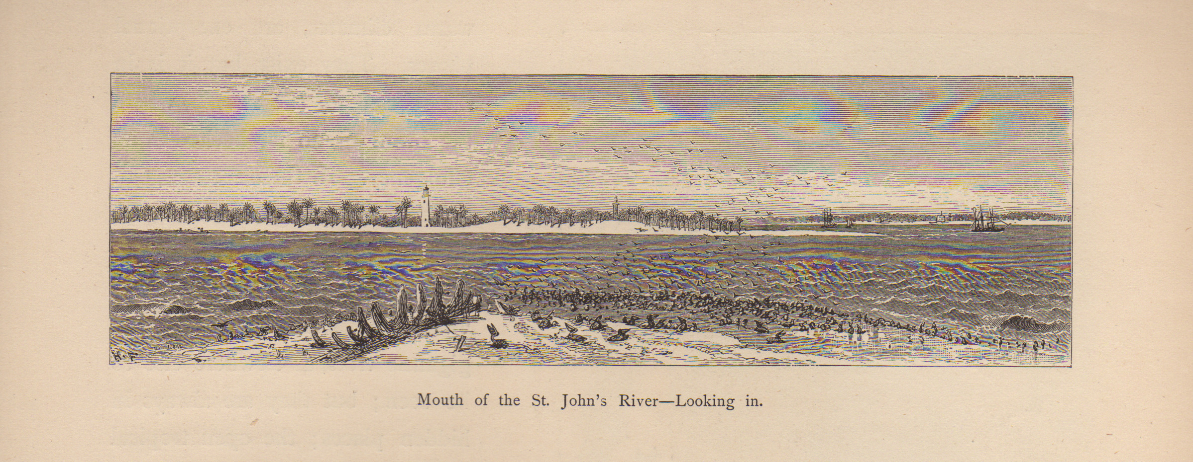 Mouth of the St. John's River, looking in, engraved panorama — historic image