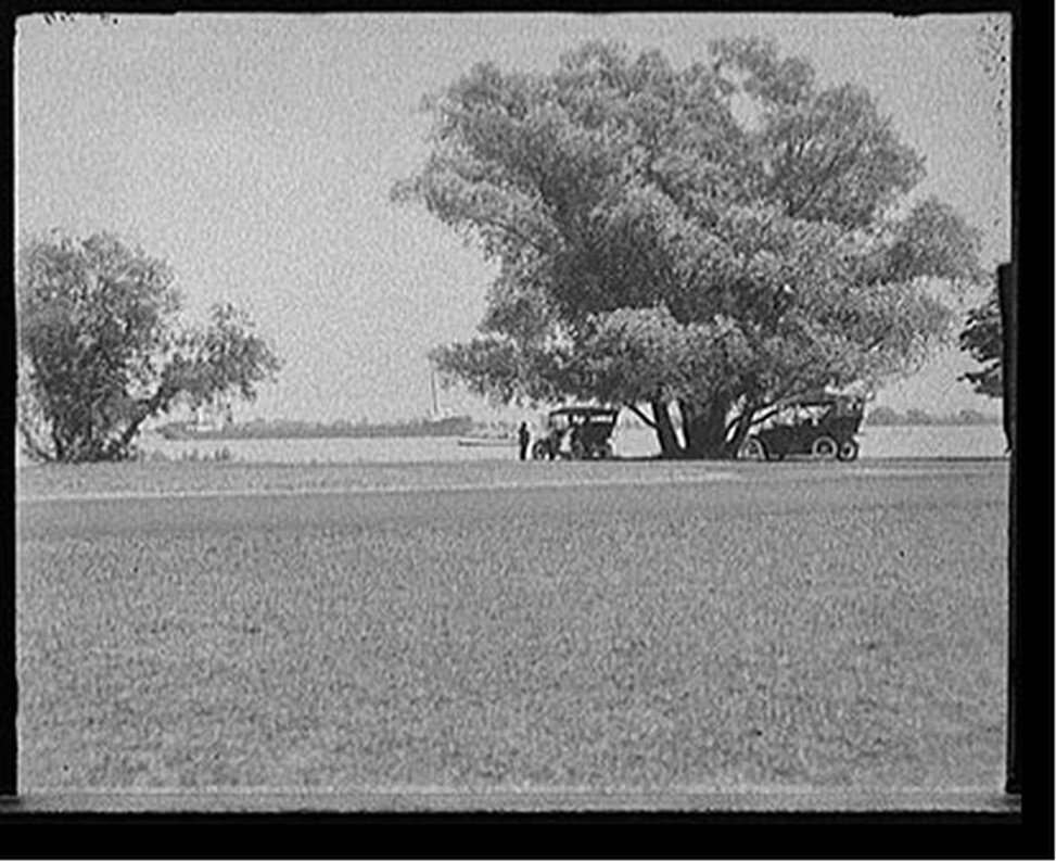 [View at head of Belle Isle Park, Detroit, Mich.], [between 1905 and 1915] — historic photograph