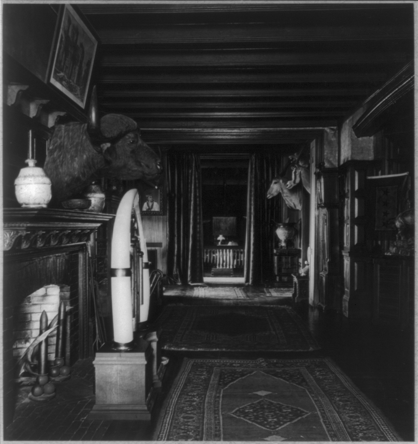 [Interior of Sagamore Hill with fireplace, water buffalo head and two antelope heads], [between 1870 and 1900] — historic photograph