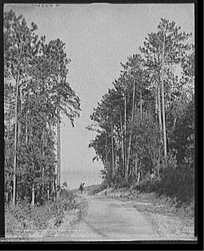 West End Boulevard, Mackinac Island, Mich.