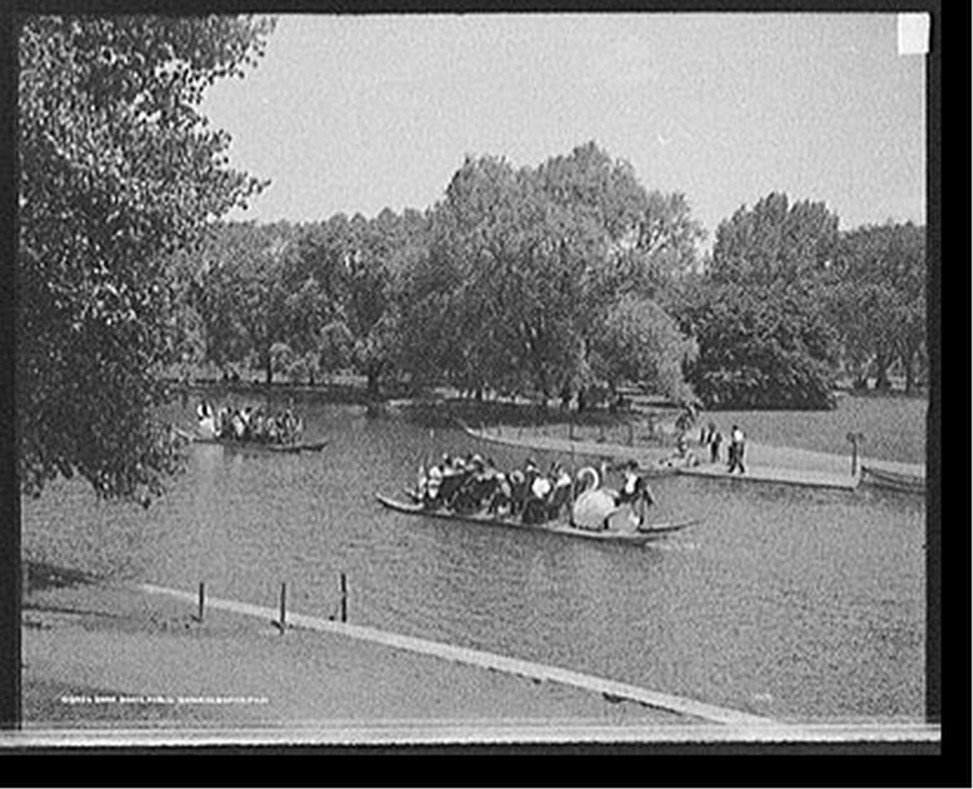 Swan boats, Public Gardens, Boston, Mass., [between 1900 and 1906] — historic photograph