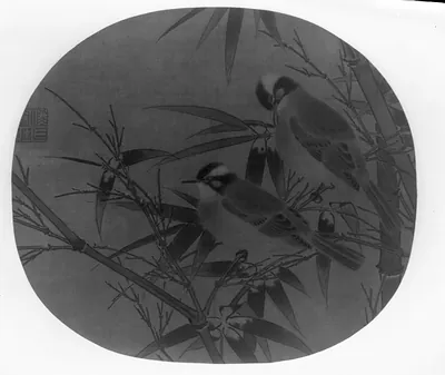 Chinese bulbuls (birds)