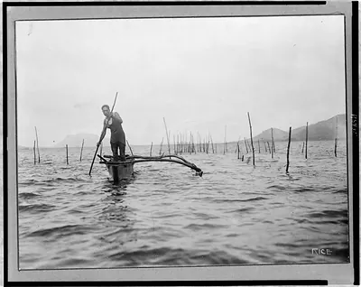 [Man standing in boat, over fish trap, Hawaii] / Rice.