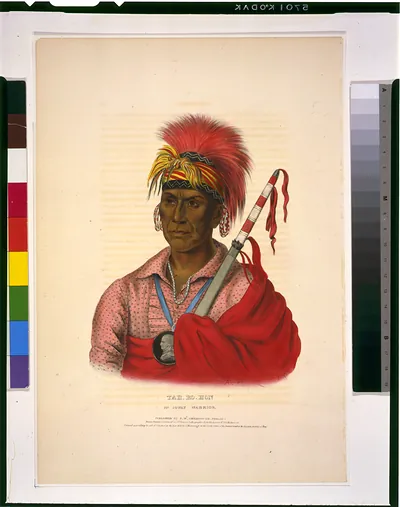 Tah-Ro-Hon--An Ioway warrior / drawn, printed & coloured at I.T. Bowen's Lithographic Establishment ; A.H.