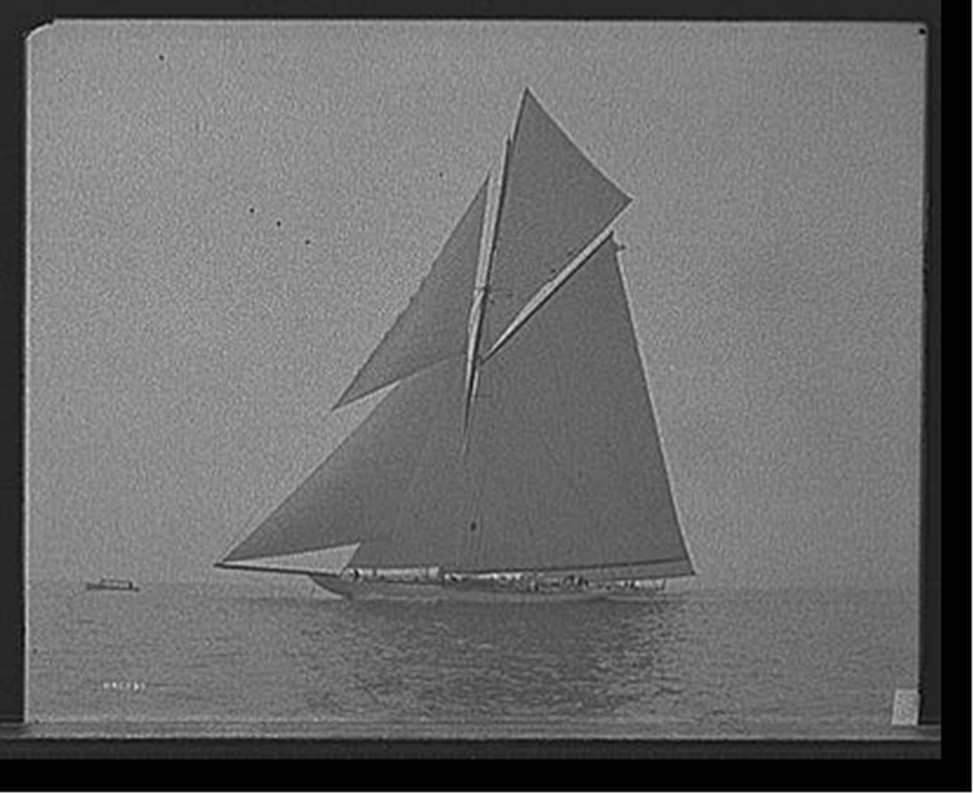 [Yachts Constitution and Columbia], [1901] — historic photograph