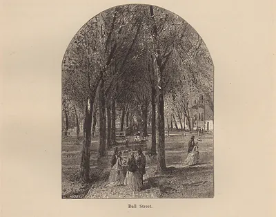Bull Street, tree-lined avenue with strolling figures