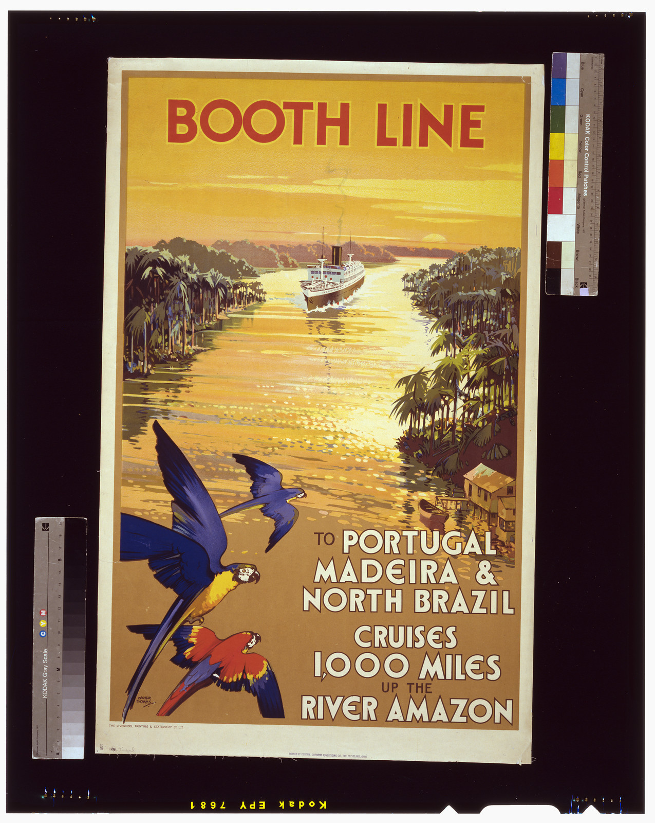 Booth Line, to Portugal, Madeira & North Brazil / Walter Thomas. — vintage poster