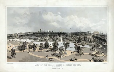 View of the Public Garden & Boston Common from Arlington St.