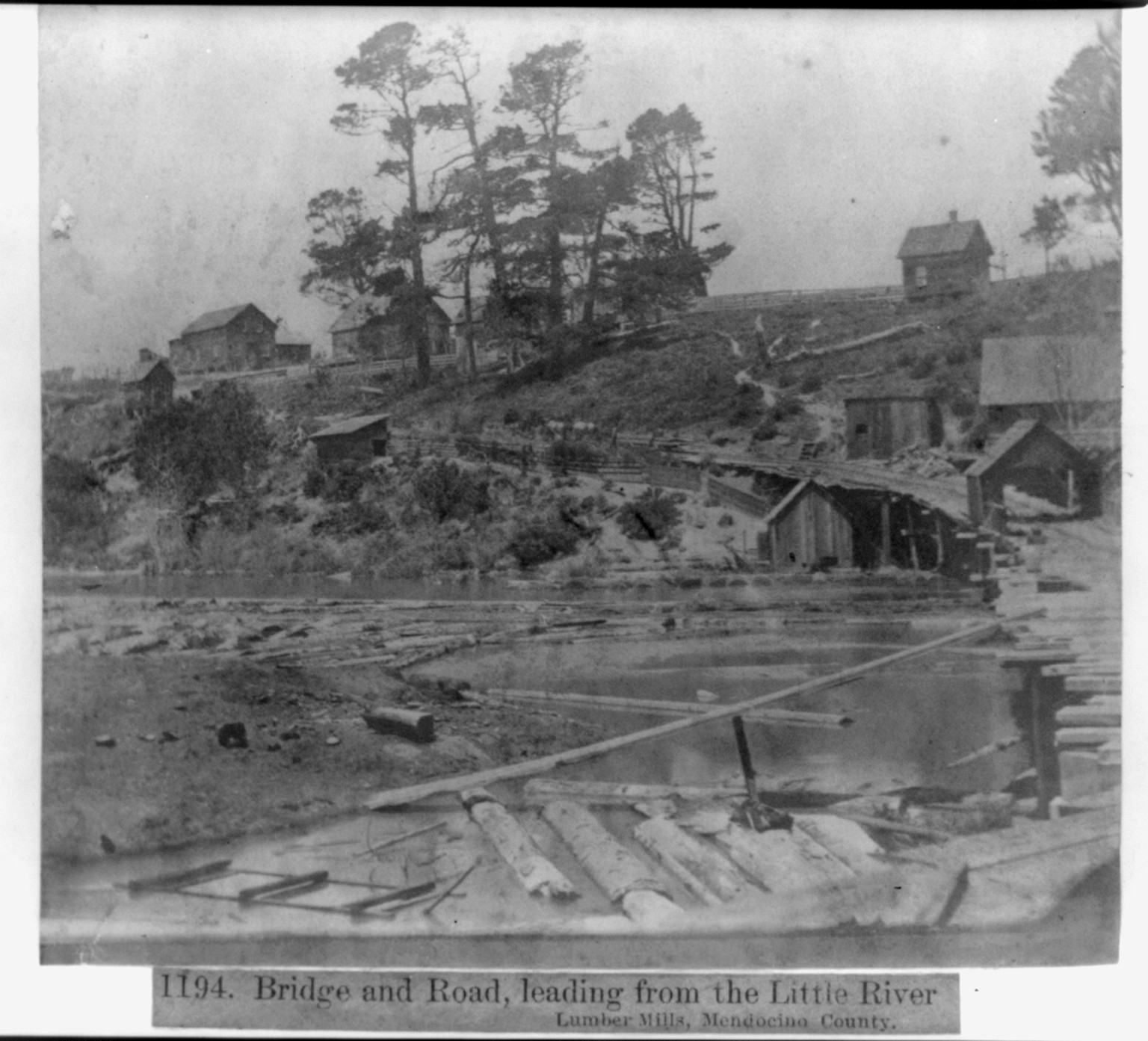 Bridge and Road leading from the Little River Lumber Mills, Mendocino County, [published 1866] — historic photograph