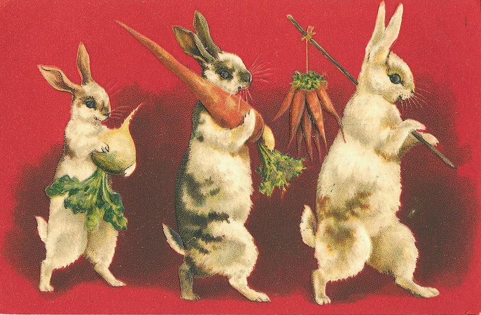Three dancing rabbits carrying carrots and vegetables on red — historic image