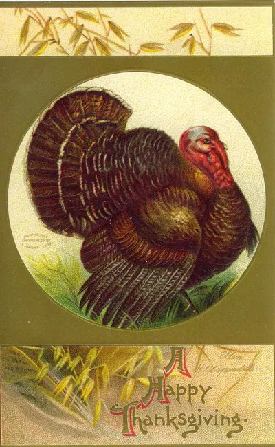 Turkey Thanksgiving postcard with 'A Happy Thanksgiving' text