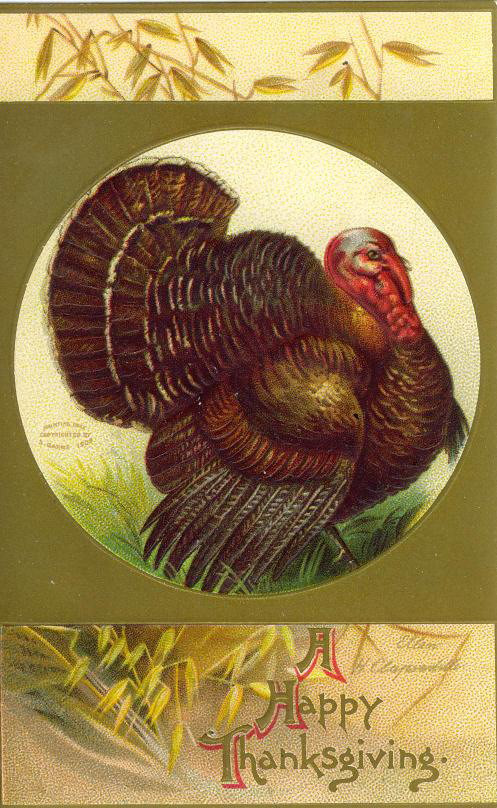 Turkey Thanksgiving postcard with 'A Happy Thanksgiving' text — vintage postcard