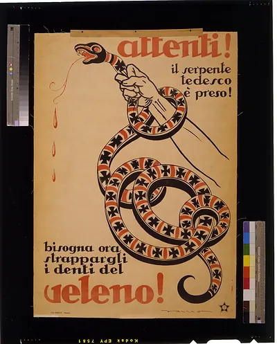 Attenti! ...veleno! / Zamo.