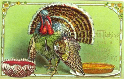 Turkey with pie and cranberry dish, Thanksgiving greeting postcard