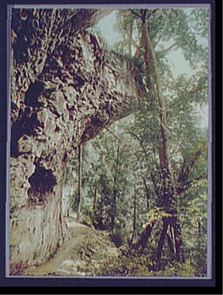 Niagara, footpath in Niagara Glen, c1898. — historic print