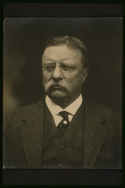 [Theodore Roosevelt, bust portrait, facing front] / Pach photographer.