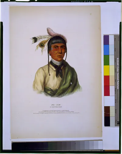 No-Tin, a Chippewa chief