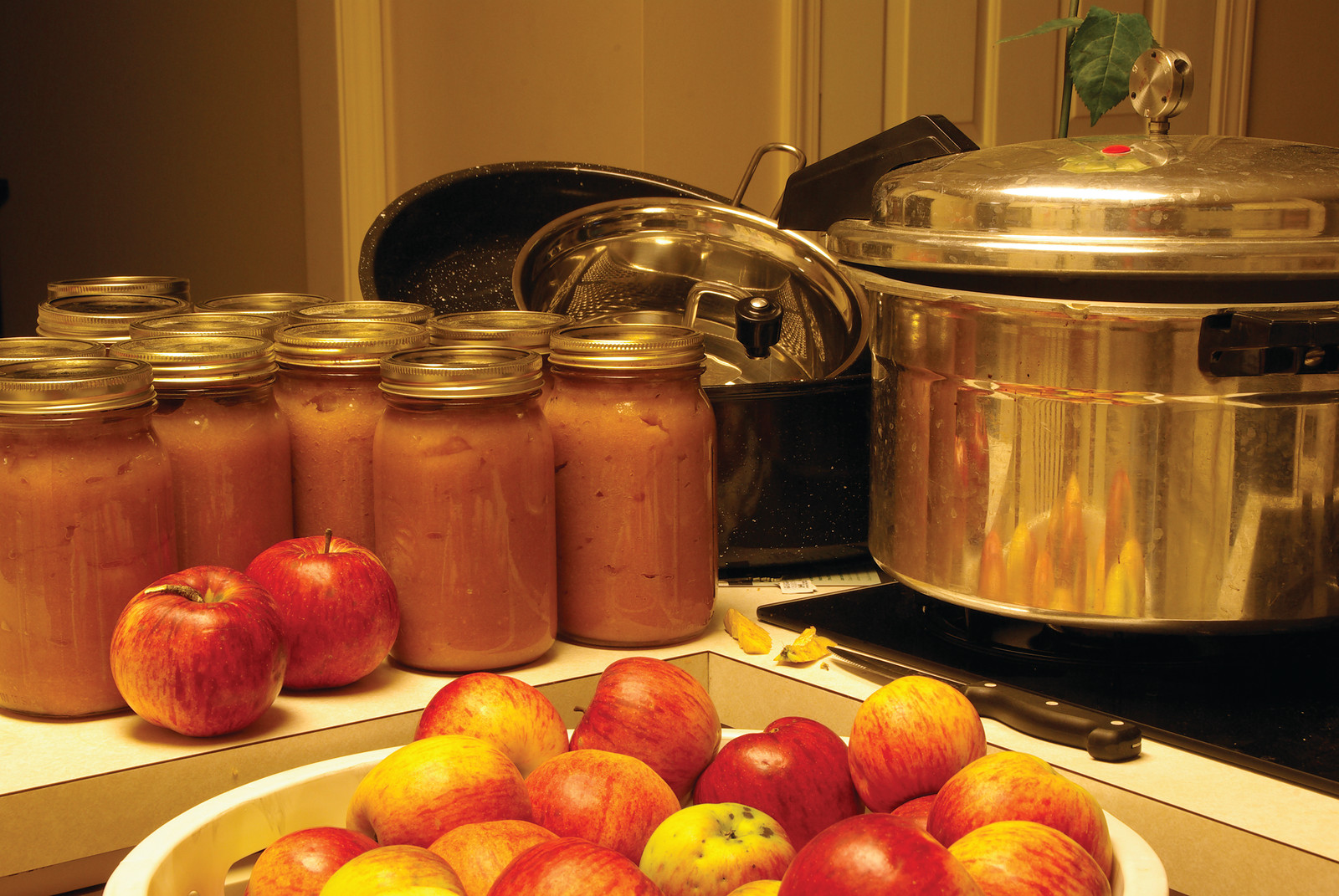 Canning Applesauce — historic image