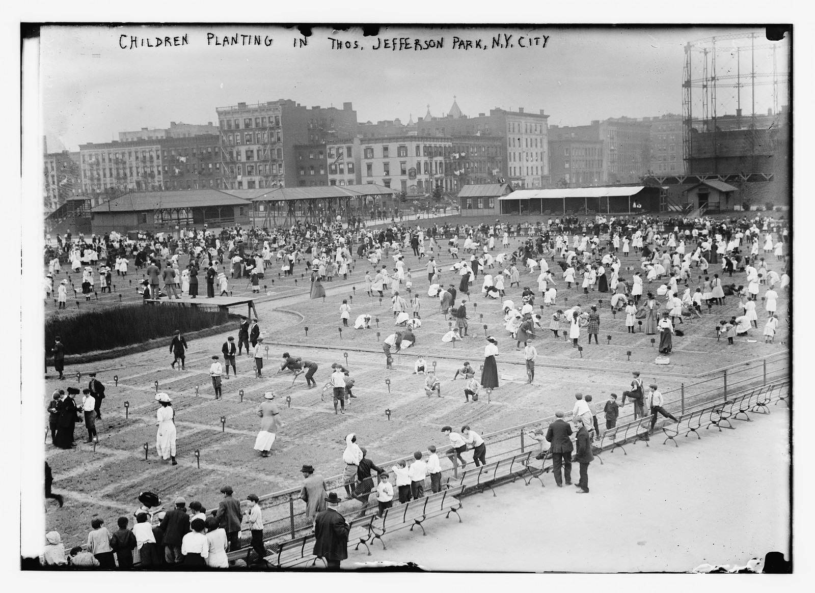 Children planting in Thos. Jefferson Park, N.Y.C., n/a — historic photograph