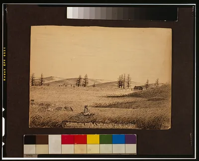 Cottonwood Creek, Sunday April 10th 1859