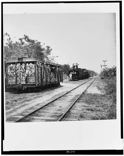 Fruit transportation. Tela Railroad Company. Picking up another car of fruit, Honduras