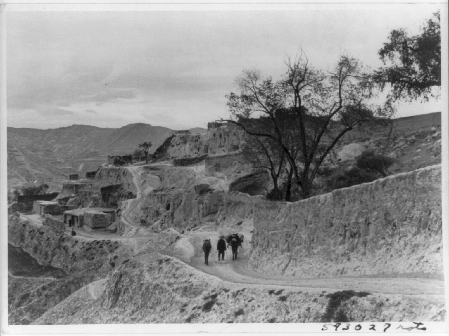 [China. Man with 2 pack horses on mountain road lined with cliff dwellings; Marco Polo route...ancient silk route"]" — historic photograph