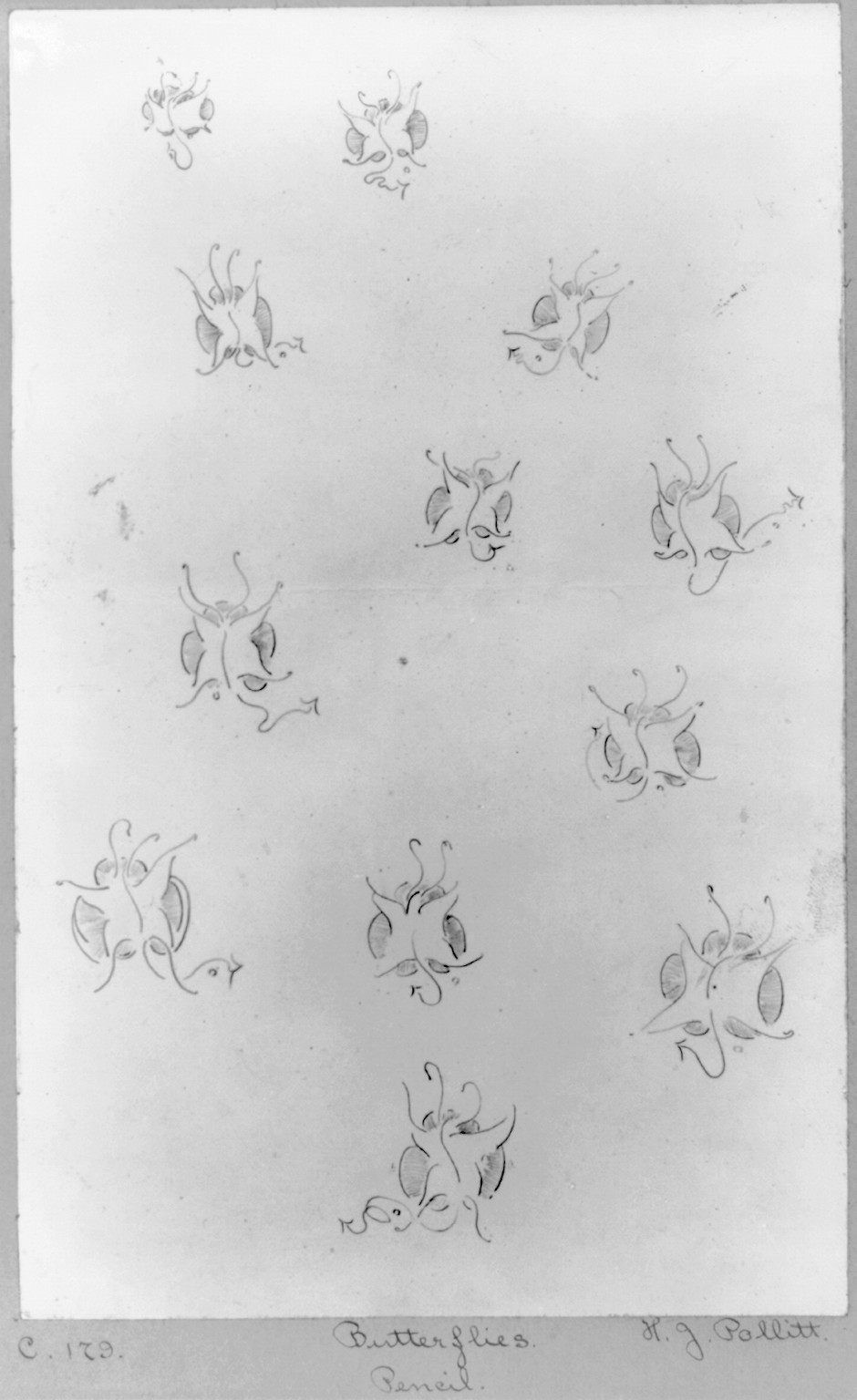 [Butterflies. Studies in lead pencil for butterflies used in the artist's publications] — historic photograph